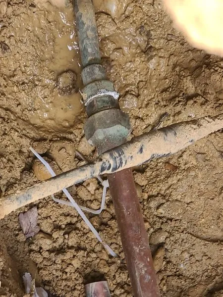 Slide of Corados Services