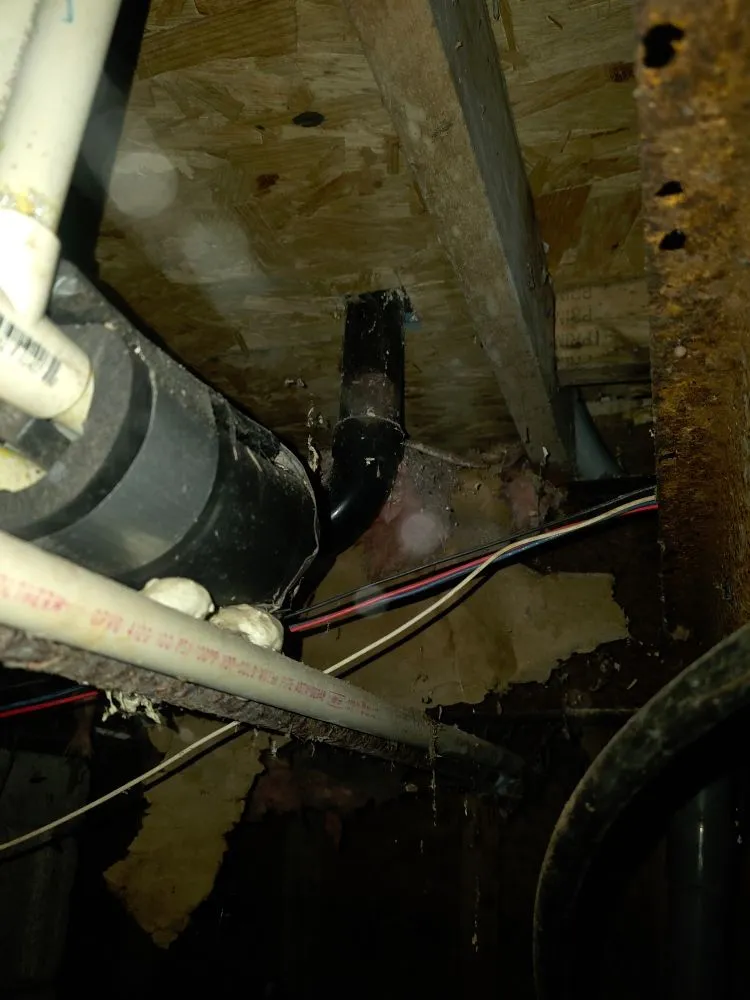 Affordable plumbing repair in Bishopville, MD by Coreys Plumbing Service
