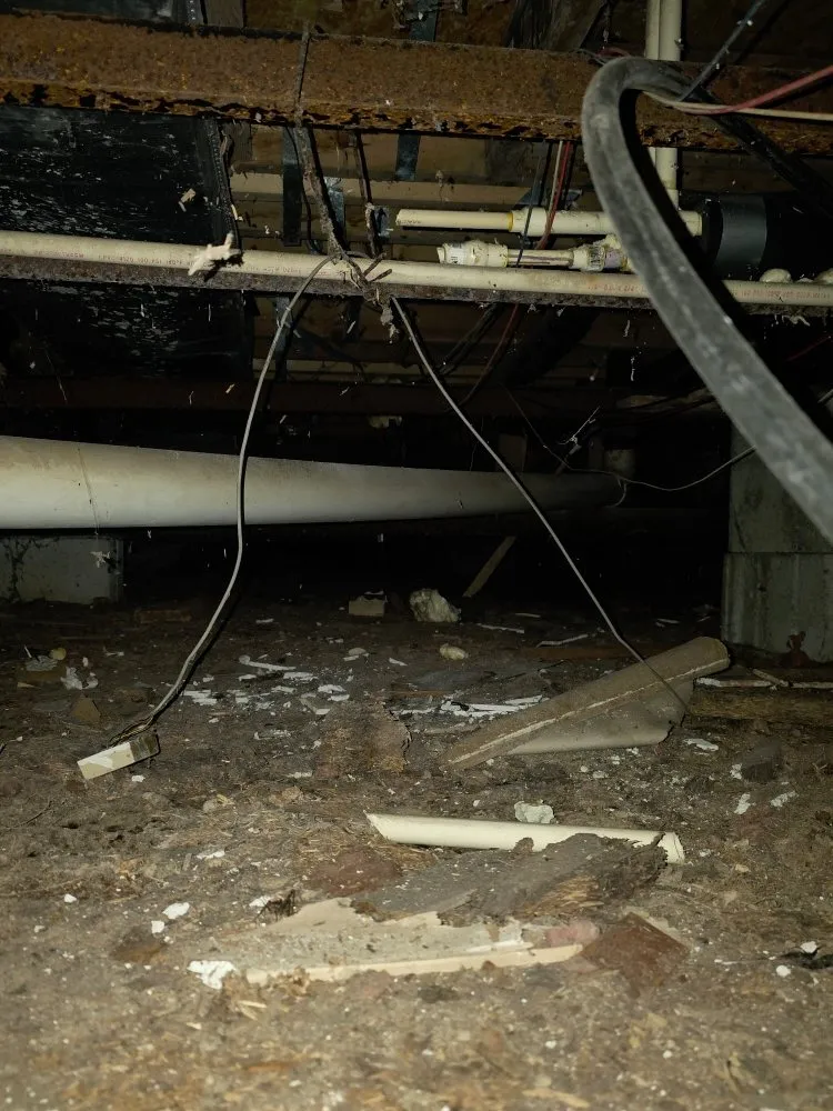 Affordable leak detection experts serving Bishopville, MD - Coreys Plumbing Service