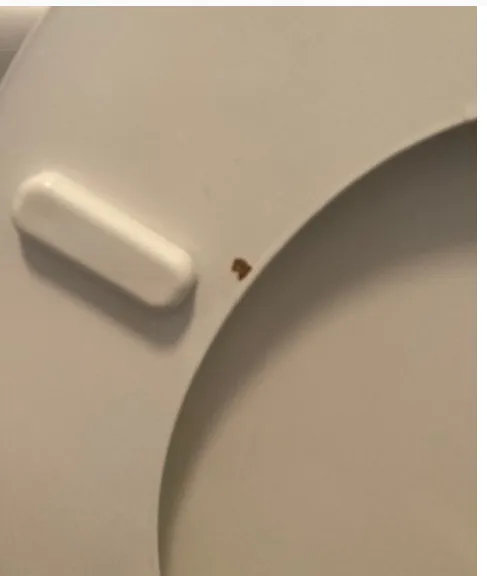 Professional pipe repair in Torrance, CA by Cornett Plumbing & Heating