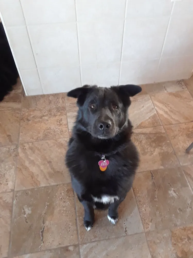 Slide of Corridor Plumbing