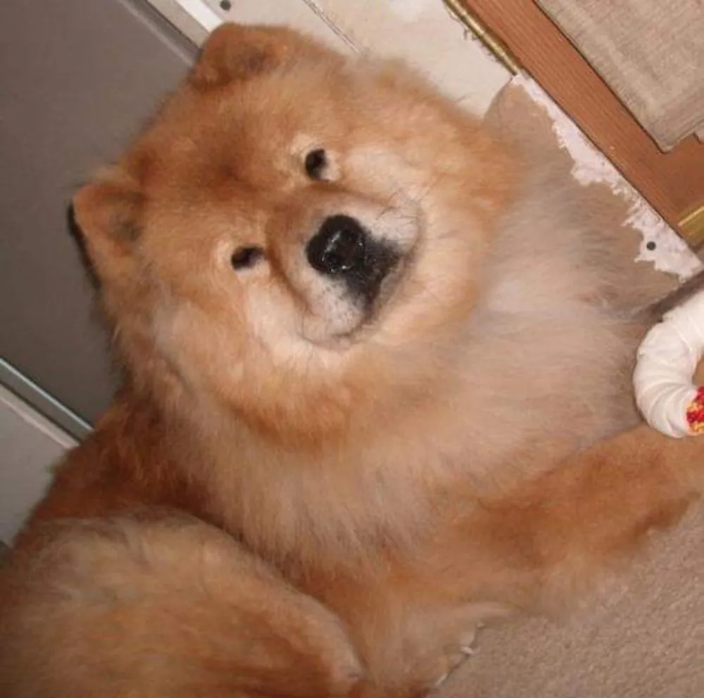 Slide of Corridor Plumbing