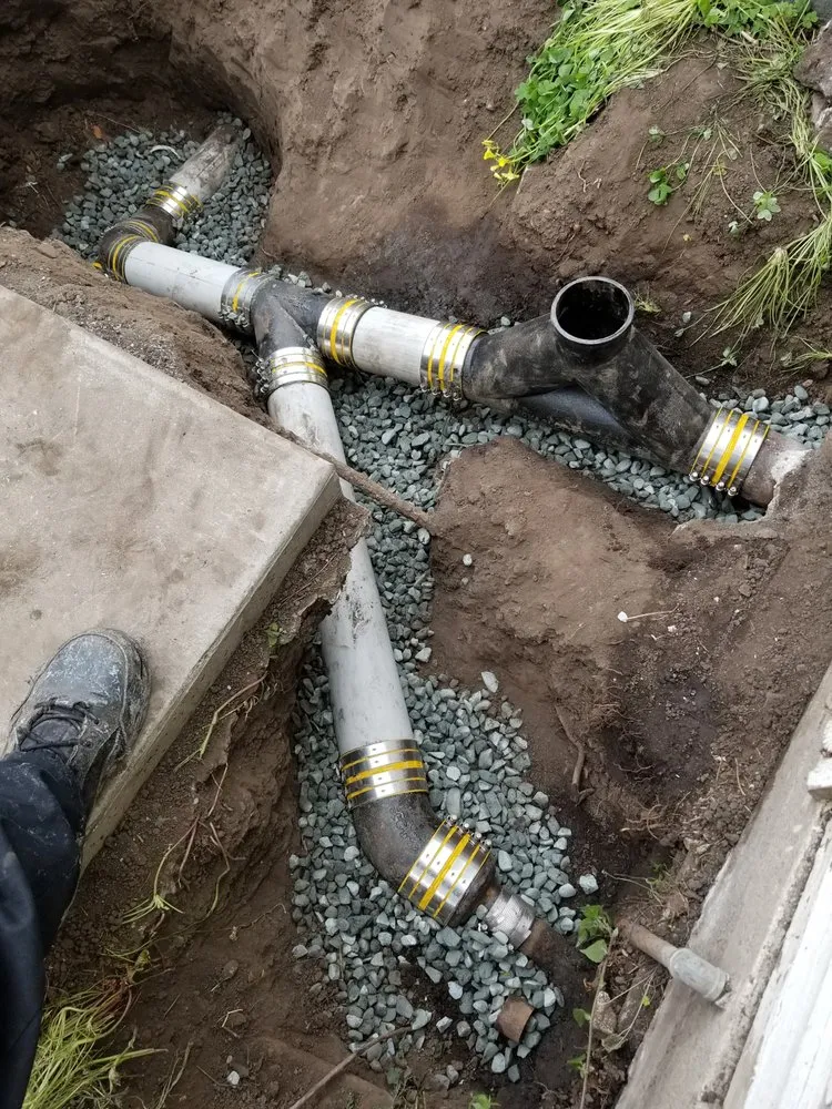 Slide of Cortes Drain Kings