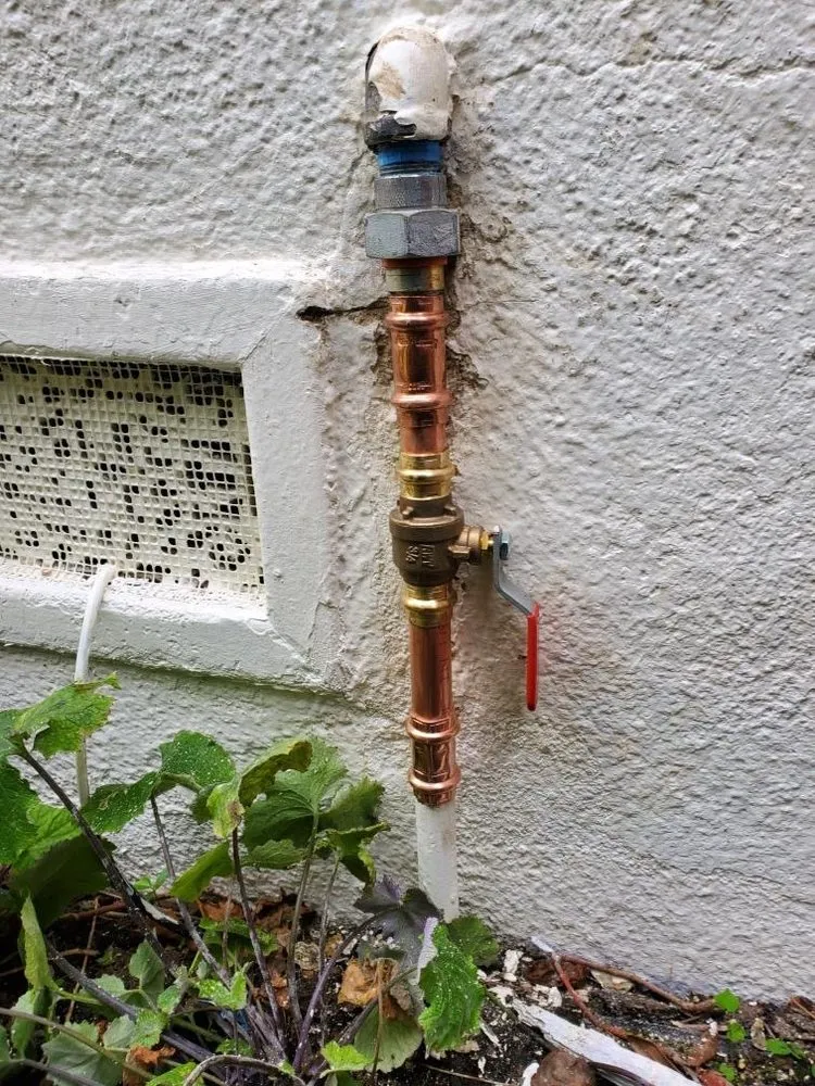 Slide of Cortes Drain Kings