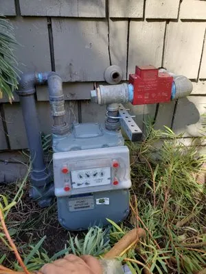 Cortes Drain Kings Logo