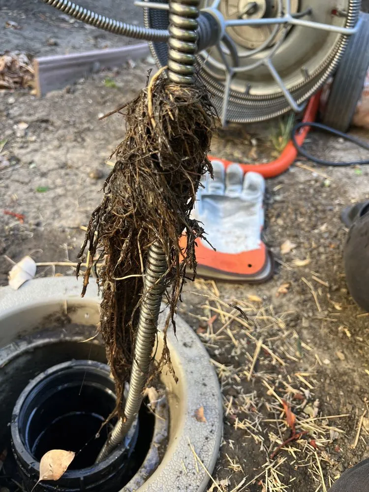 Slide of Cory’s yard maintenance plus