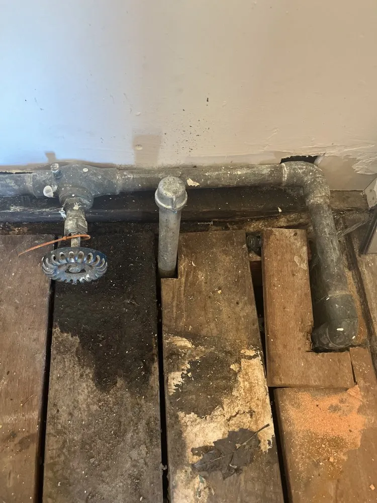 Slide of Cory’s yard maintenance plus