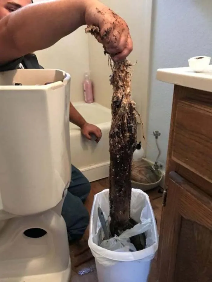 Slide of Countryside Service