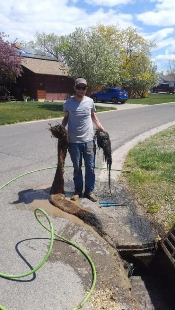 Slide of Countryside Service