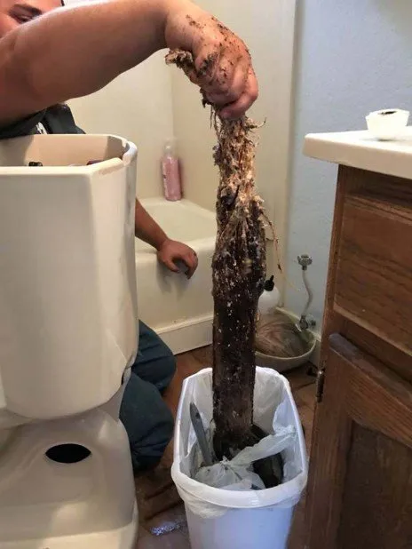 Slide of Countryside Service