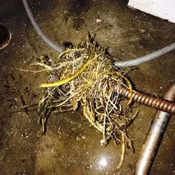 Slide of Countrywide Plumbing