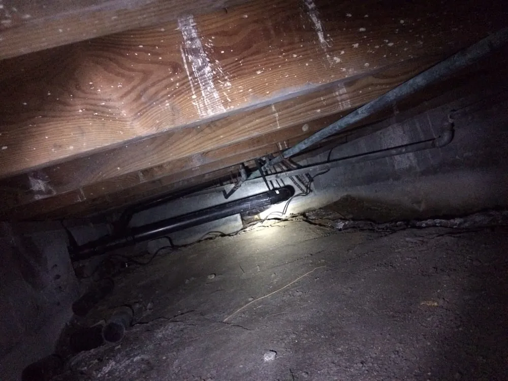 Affordable leak detection for homes in Gardena, CA by Courselle Plumbing