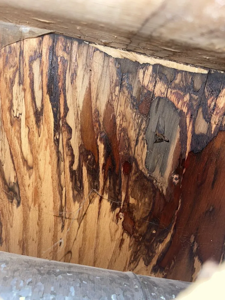 Slide of Courtesy Plumbing