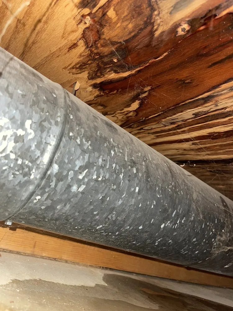 Slide of Courtesy Plumbing