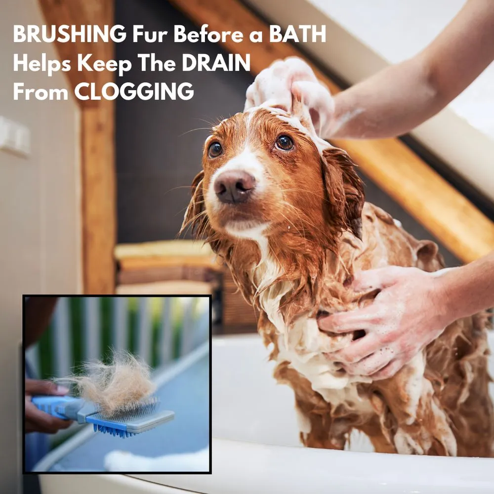 Slide of Courtesy Plumbing