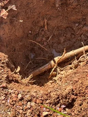 Courtesy Plumbing Logo