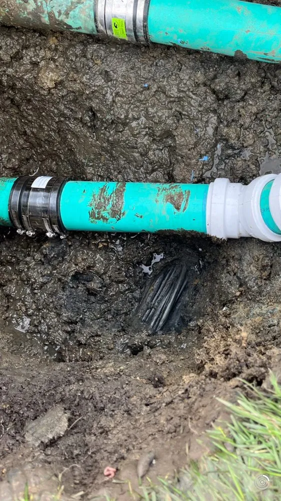 Slide of Cousin's Plumbing