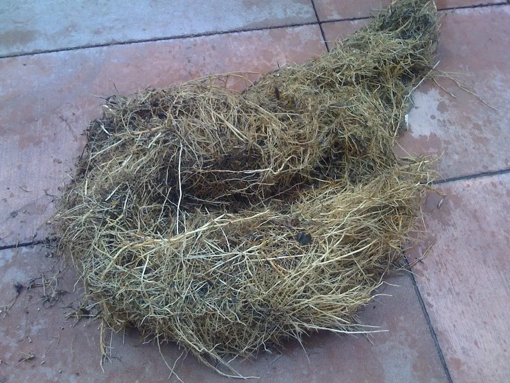 Slide of Covenant Pipeline