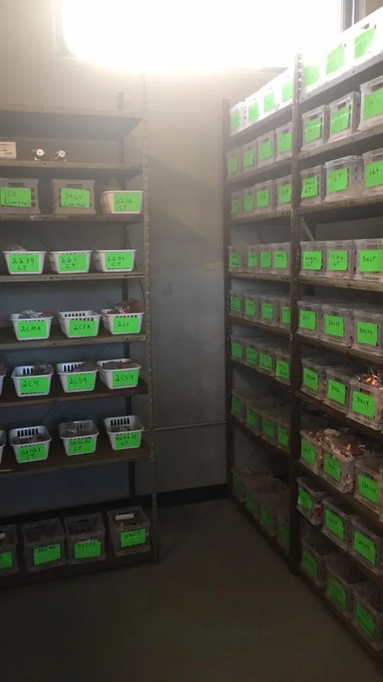 Emergency leak detection for homes in Atlanta, GA by Covenant Plumbing Supply of Atlanta