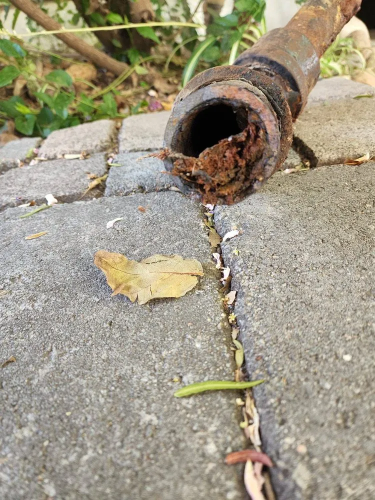 Slide of Coverall Plumbing