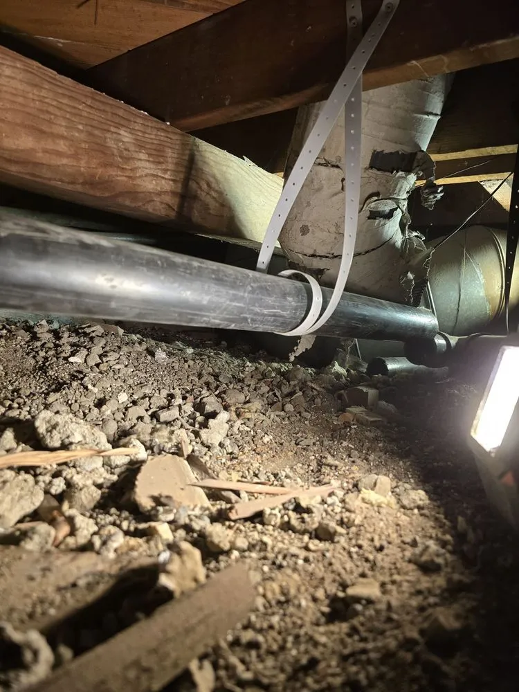 Slide of Cowboy Rooter