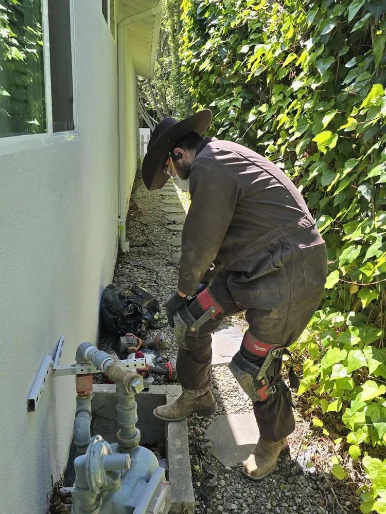 Slide of Cowboy Rooter