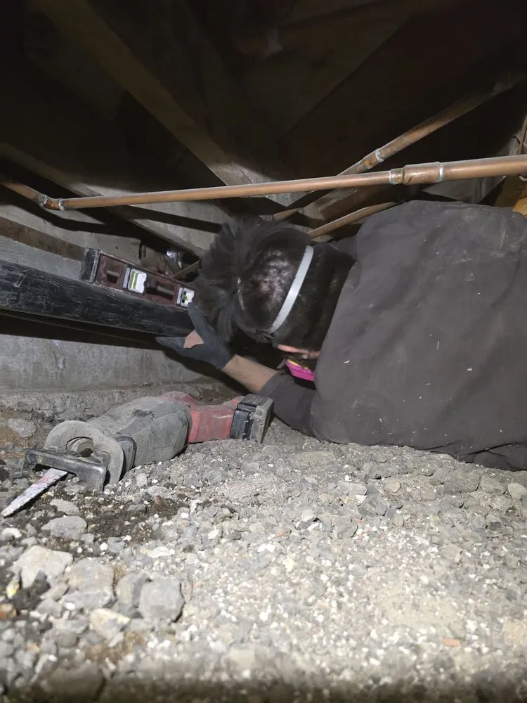 Slide of Cowboy Rooter