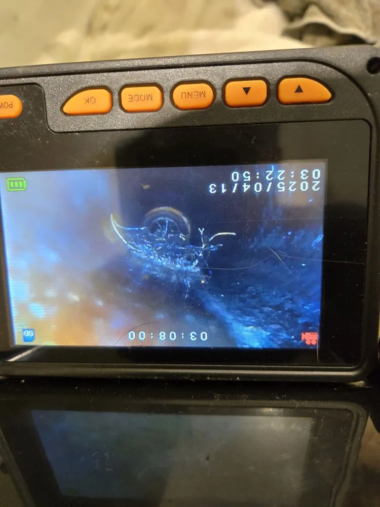 Slide of Cowboy Rooter