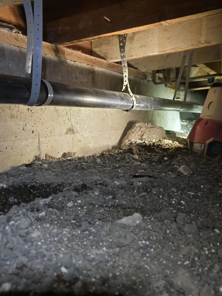 Slide of Cowboy Rooter