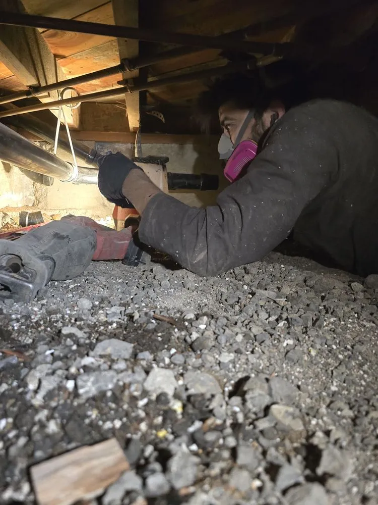 Slide of Cowboy Rooter