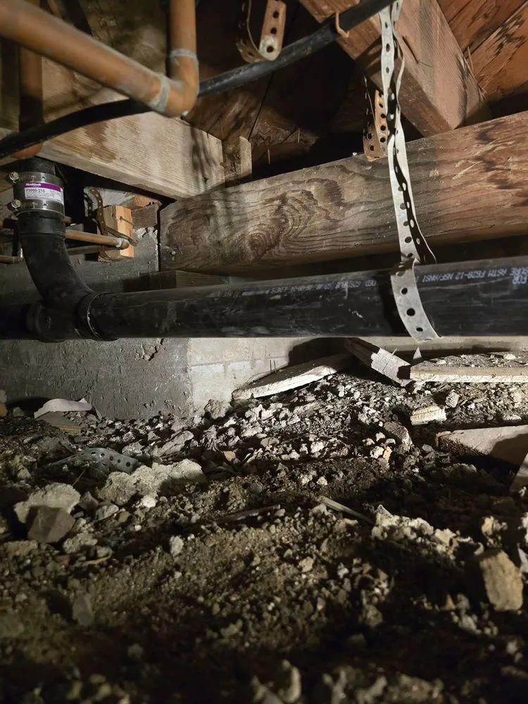 Slide of Cowboy Rooter