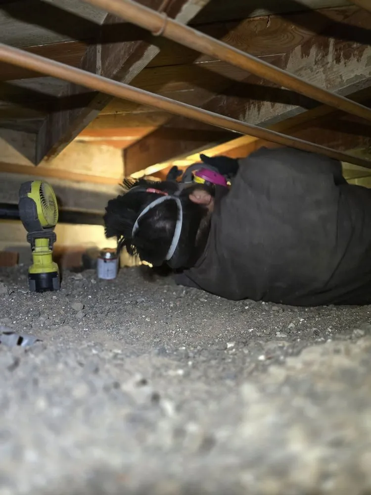 Slide of Cowboy Rooter