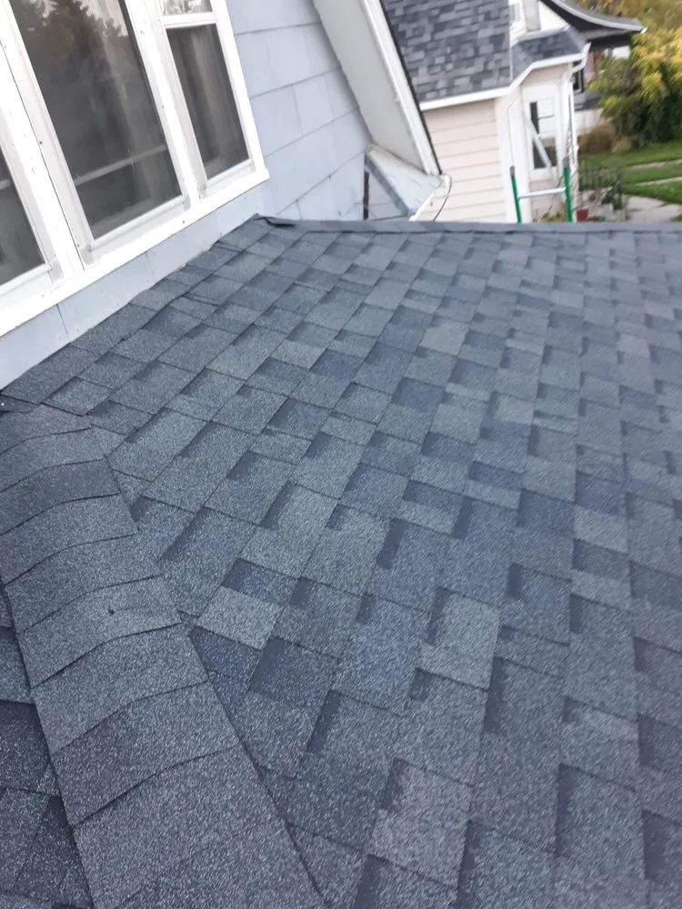 Slide of Coyote builders