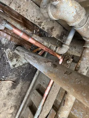 Coyote Plumbing & Rooter Logo