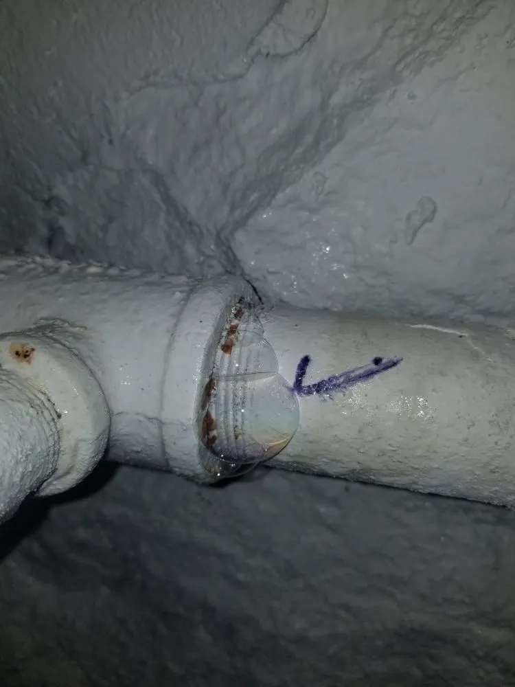 Slide of CPH Services Corporation