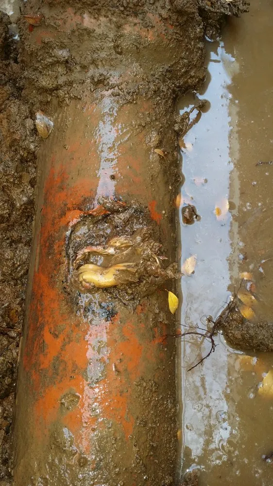 Slide of CPI Plumbing