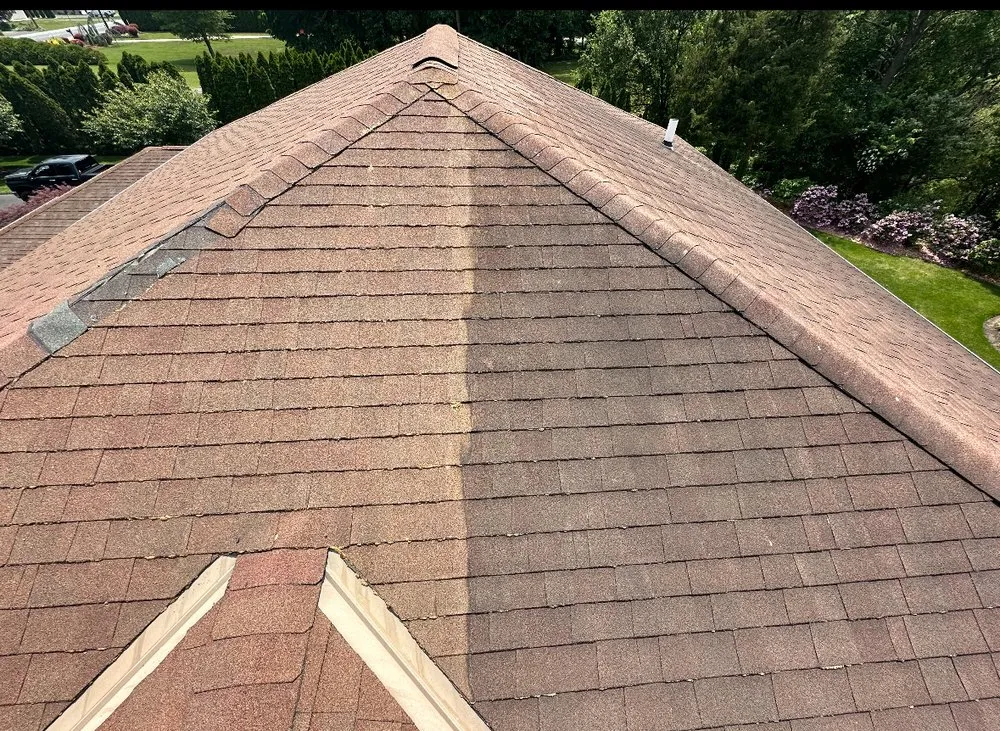 Slide of Cps removal and renovation services