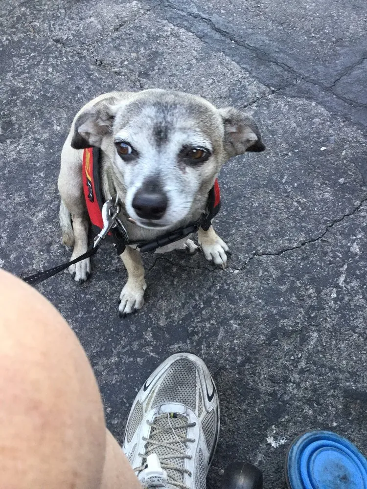 Slide of Craig's Plumbing