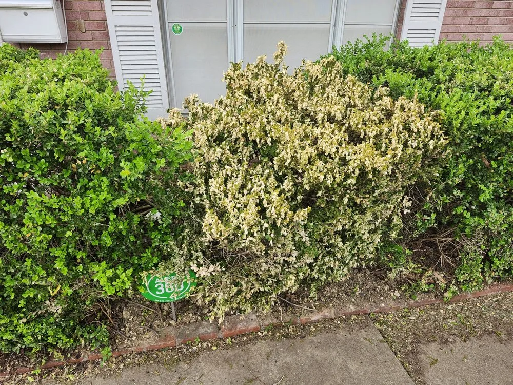 Slide of Crawford Service