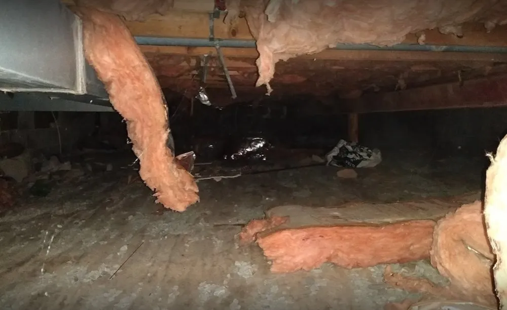 Slide of Crawl Space Ninja of Raleigh West