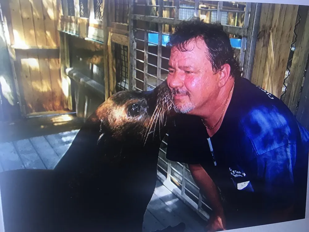 Slide of Crazy George Plumbing