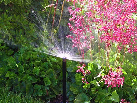 Top-rated pipe repair experts serving Ashburn, VA - Creative Irrigation & Lighting