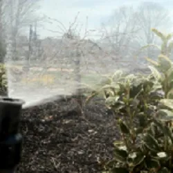 Slide of Creative Water