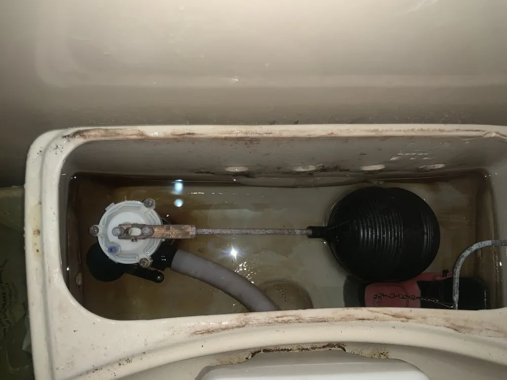 Quality leak detection service in League City, TX - Creekside Plumbing & Construction, 1LP