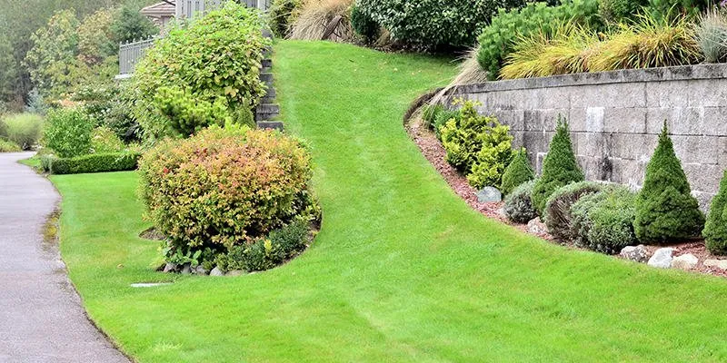 Slide of Crew Cut Lawn & Backflow Testing