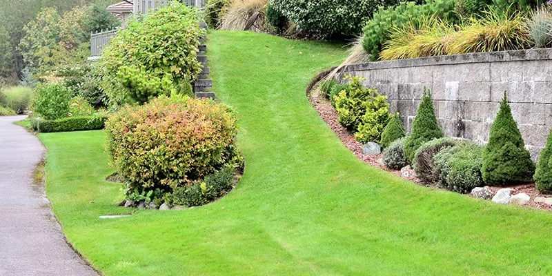 Affordable plumbing repair experts serving Clermont, FL - Crew Cut Lawn & Backflow Testing