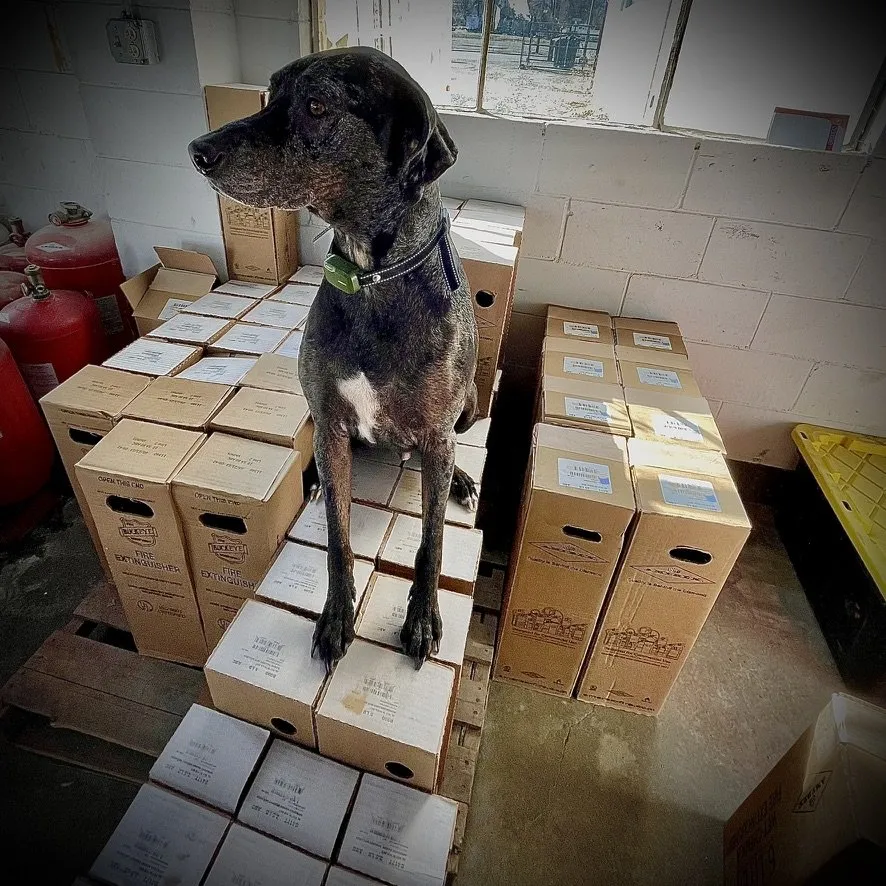 Slide of Crimson Fire Protection