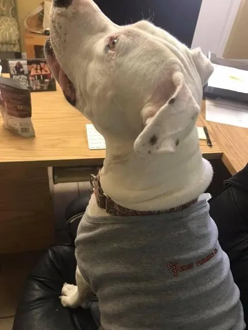 Slide of Crisp Plumbing, Inc.