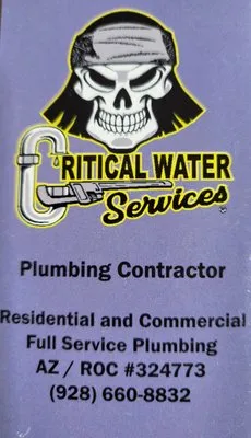 Critical Water Services