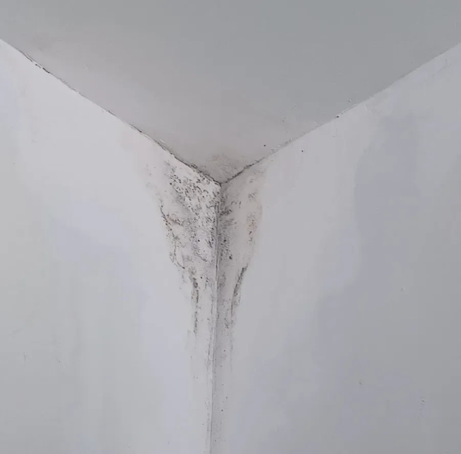 Slide of Cross Plumbing